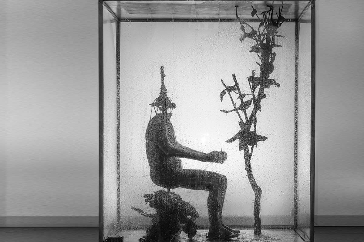 23-susi-e-l-albero